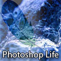 Adobe Photoshop