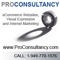 ProConsultancy Web Site Design and Hosting