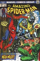 Amazing Spiderman - #124