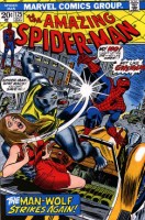 Amazing Spiderman - #125