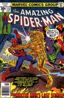 Amazing Spiderman - #173