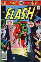 The FLASH #243