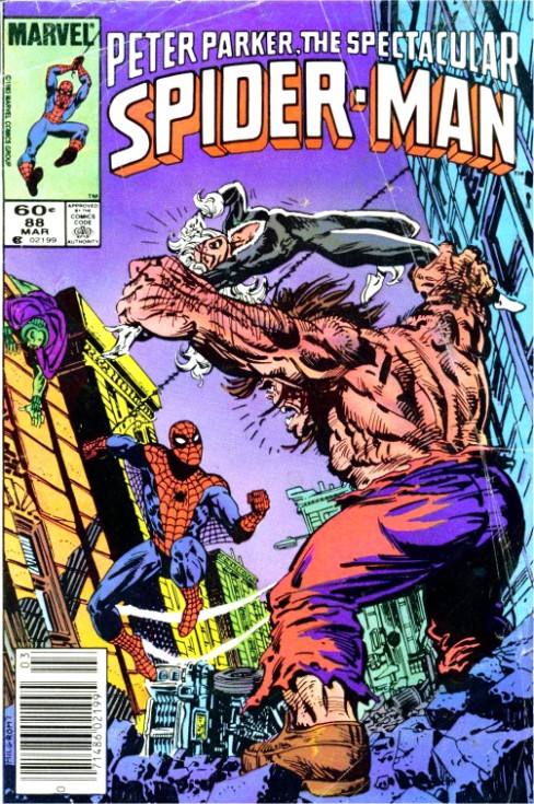 Peter Parker the Spectacular Spiderman #88